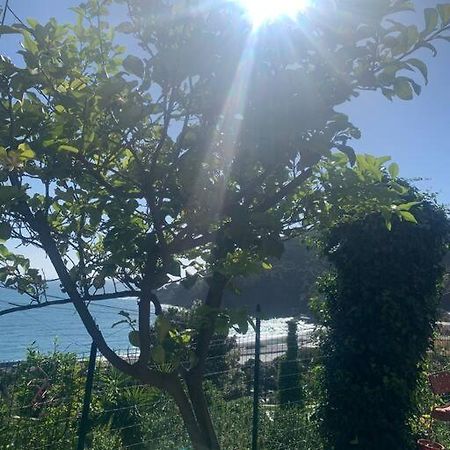 Appartamento Cozy Beach House With Nice Garden, Basic Feel Bonassola Esterno foto