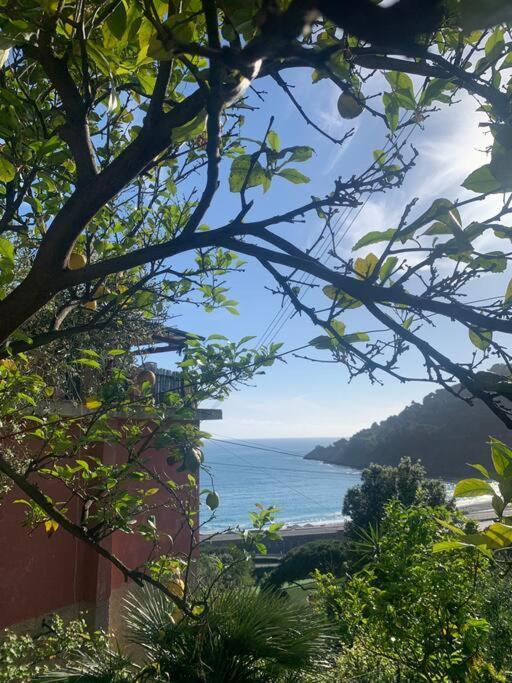Appartamento Cozy Beach House With Nice Garden, Basic Feel Bonassola Esterno foto