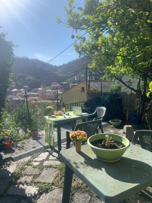 Appartamento Cozy Beach House With Nice Garden, Basic Feel Bonassola Esterno foto