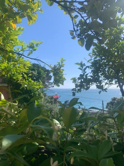 Appartamento Cozy Beach House With Nice Garden, Basic Feel Bonassola Esterno foto