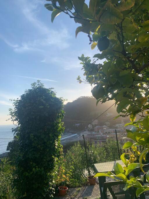 Appartamento Cozy Beach House With Nice Garden, Basic Feel Bonassola Esterno foto