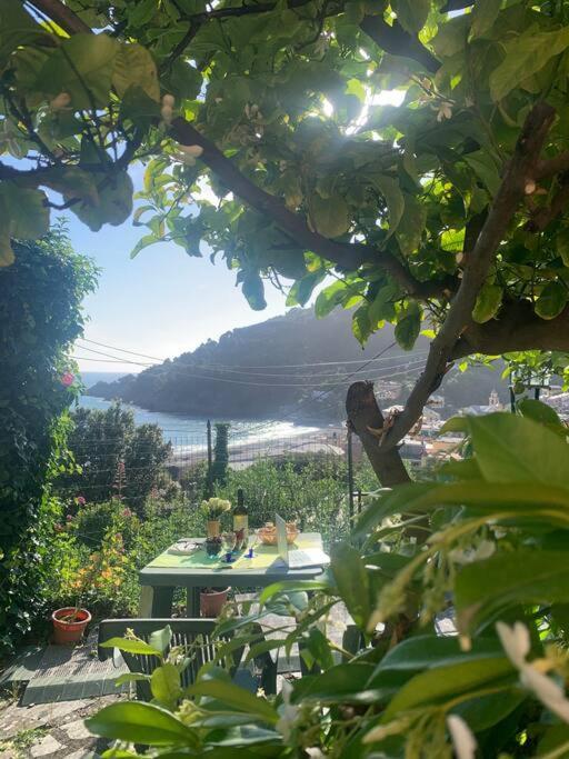 Appartamento Cozy Beach House With Nice Garden, Basic Feel Bonassola Esterno foto