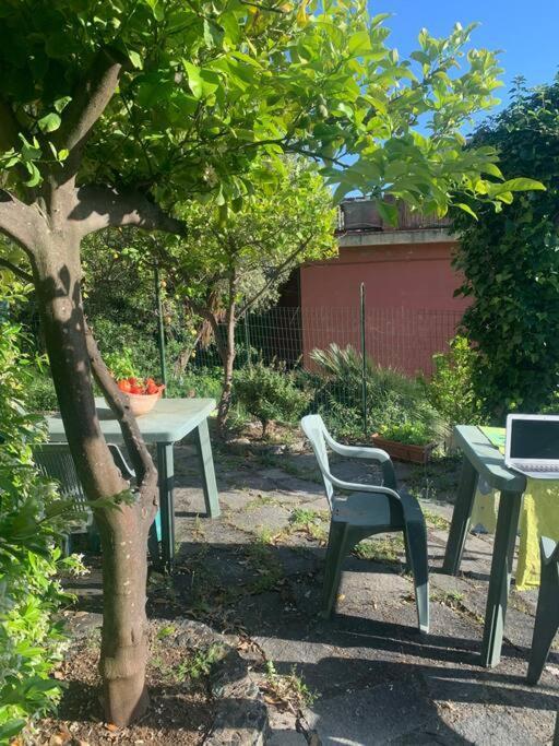 Appartamento Cozy Beach House With Nice Garden, Basic Feel Bonassola Esterno foto